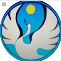 МАОУ "Кусочинская средняя общебразовательная школа"