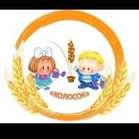 МКДОУ" Д/с 3 "Колосок"с.Бородиновка