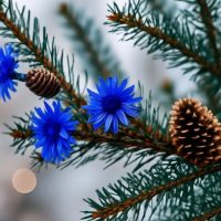 ГБДОУ детский сад №73 "Василек" Василеостровского района Санкт-Петербурга