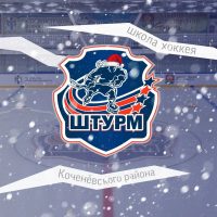 Детско-юношеская школа хоккея Коченевского района