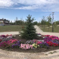 Администрация Алексеево-Лозовского сельского поселения