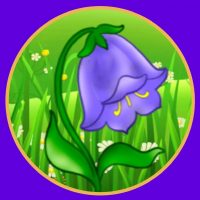 МБДОУ "Детский сад "Колокольчик" аула Кумыш