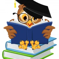 МОУ СОШ № 19