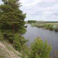 Администрация Белоярского сельского поселения Тегульдетского района Томской области