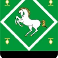 Совет МР Янаульский район