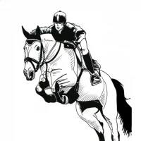 Спортивная школа по конному спорту