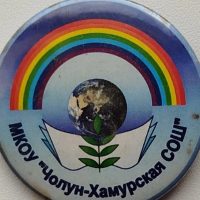 МКОУ "Чолун-Хамурская СОШ "