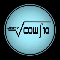 МБОУ СОШ №10