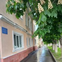 ГБОУ СО "Школа АОП №14 г.Вольска"