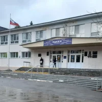 Канал Лицей № 25 им. Н.Ф. Ватутина г. Димитровграда.