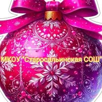 МКОУ "Старосальинская СОШ"
