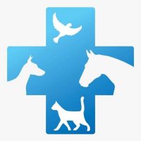 ГБУ КО "Бабынинская районная СББЖ"