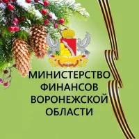 Министерство финансов Воронежской области
