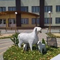 Администрация Барановского сельского поселения Николаевского муниципального района