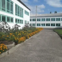 МБОУ Салтынская СШ