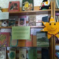 Библиотека Лозновского сельского поселения