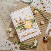 Открытки PARNASSIUS