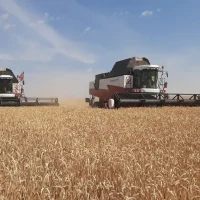 Управление сельского хозяйства и продовольствия в Заинском районе РТ