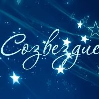 ГБОУ ЛНР "КУВК №6 "Созвездие "