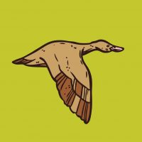 Охота и рыбалка в Тюмени