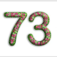 Детский сад №73