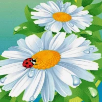 МБДОУ "Детский сад № 404" г.о. Самара