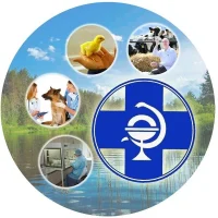 государственное бюджетное учреждение "Курманаевское районное управление ветеринарии"