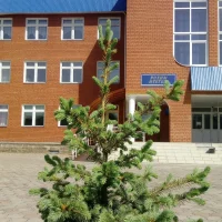 МОБУ СОШ №1 с. Бижбуляк