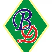 МАОУ "Верхнедубровская СОШ"