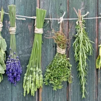 Здравница. Народная медицина