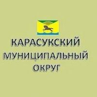 Администрация Карасукского муниципального округа
