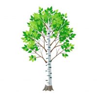 МАДОУ Д/с № 37