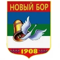 Администрация сельского поселения "Новый Бор"