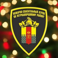 СПб ГКУ "ПСО Петродворцового района"