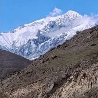 ГКУ "ЧЕГЕМСКОЕ ЛЕСНИЧЕСТВО"