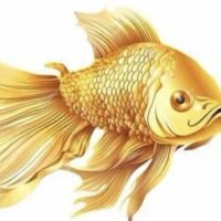 МБДОУ Д/с № 29 "Золотая рыбка"