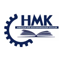 ГАПОУ "Нижнекамский многопрофильный колледж"