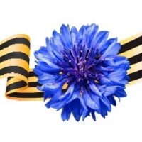 МБДОУ "Детский сад № 36 "Василёк"