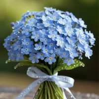 МКДОУ Детский сад  1 «Незабудка »