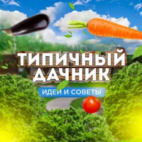Типичный дачник | Идеи и советы