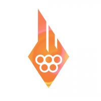 Муниципальное бюджетное учреждение дополнительного образования "Всеволожская спортивная школа"