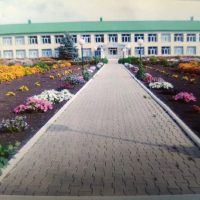 МБОУ СОШ с. Новобалтачево МР Чекмагушевский район РБ