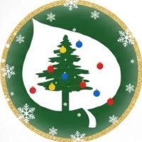 Центр реабилитации «Сосновый бор»