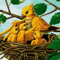 Детский сад «Гнездышко» 123