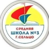 МБОУ СОШ №3 города Сельцо Брянской области