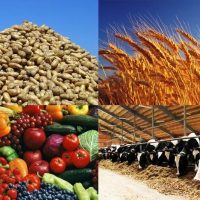 УСХиП Камское Устье