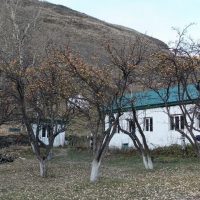 Аракульская СОШ