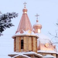 У Николушки в тайге