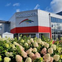 МАУ ДО "СШ "Молодость"