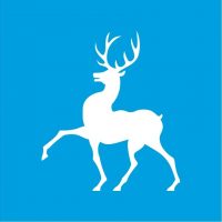 МБДОУ "Детский сад N 36" Нижний Новгород